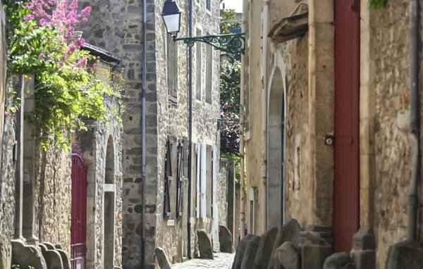 Ferienhaus - Conflans sur Anille / Le Mans , Frankreich - FVS029 906