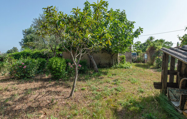 Location de vacances - Le Muy , France - FVV167 102