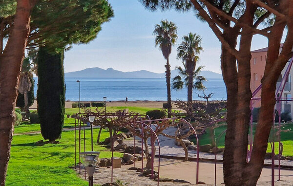 Appartement - La Londe les Maures , France - FVV190 201