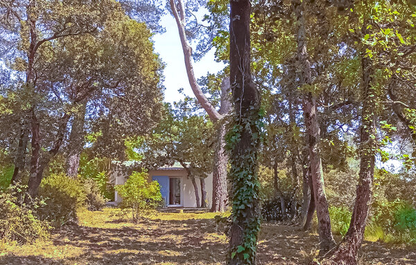 Vakantiehuis - Besse sur Issole , Frankrijk - FVV199 102