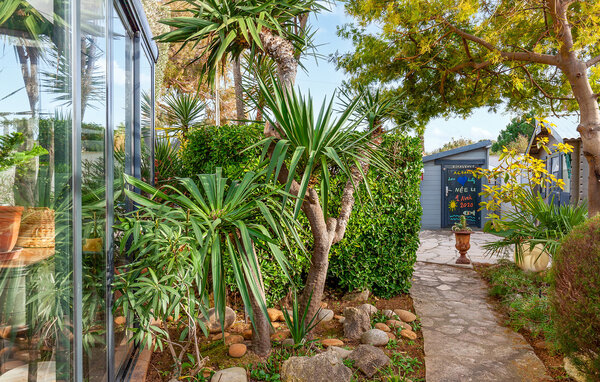 Vakantiehuis - Six-Fours-les-Plages , Frankrijk - FVV208 103