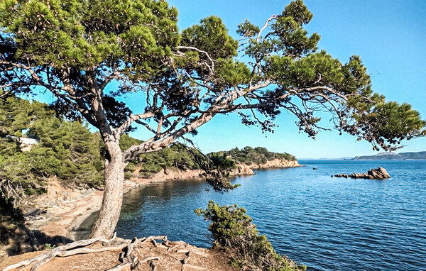 Ferieleilighet - Hyères , Frankrike - FVV224 901