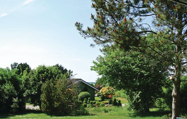 Ferienhaus 
