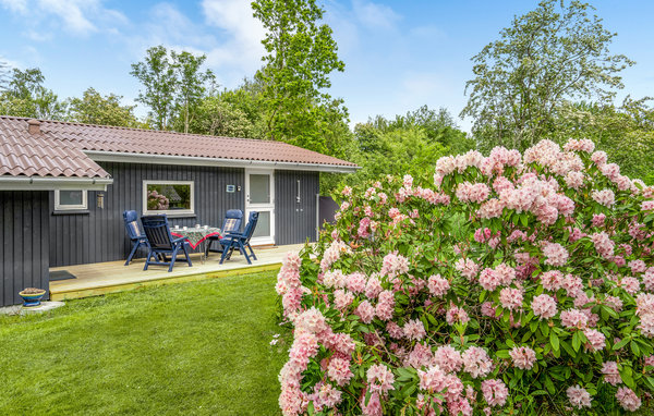 Feriehus - Ristinge , Danmark - G10919 106