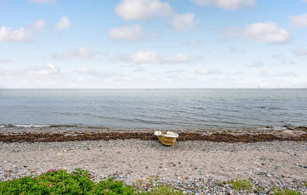 Ferienwohnung - Spodsbjerg , Dänemark - G10973 901