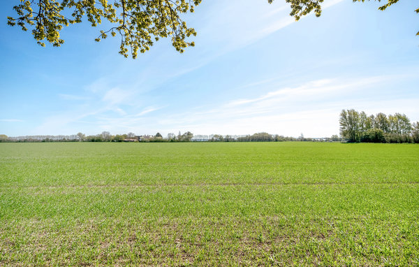 Ferienwohnung - Strynø , Dänemark - G11114 201