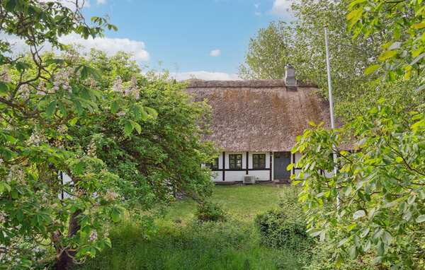 Ferienhaus - Bukkemose , Dänemark - G11194 82