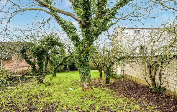 Domy wakacyjne - Rudkøbing , Dania - G11228 2