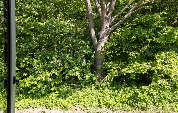 Holiday Home - Lohals , Denmark - G11264 103