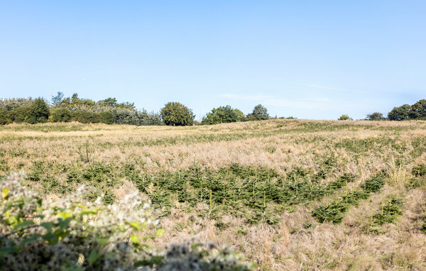 Feriehus - Sdr. Longelse , Danmark - G11284 205