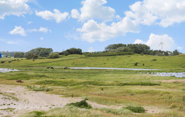 Ferienwohnung - Bagenkop , Dänemark - G11289 907