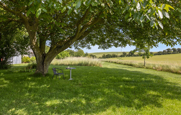 Feriehuse - Bagenkop , Danmark - G11292 101