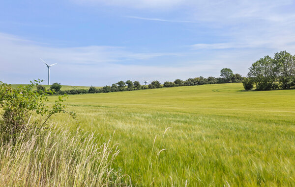 Feriehuse - Bagenkop , Danmark - G11292 202