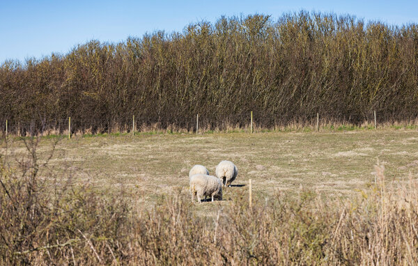 Feriehuse - Vesteregn , Danmark - G11296 105