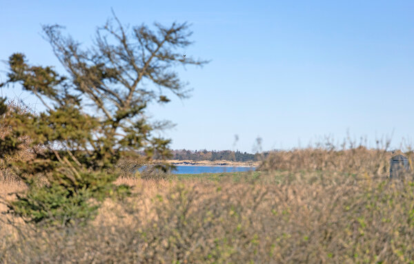 Feriehuse - Vesteregn , Danmark - G11296 201