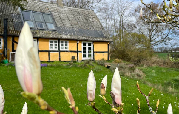 Feriehuse - Botofte , Danmark - G11300 101