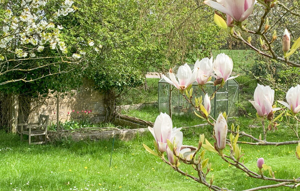 Feriehuse - Botofte , Danmark - G11300 105