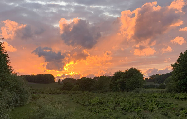 Feriehuse - Botofte , Danmark - G11300 106