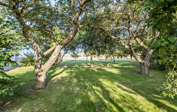 Kuća-za-odmor - Dunkær , Danska - G11509 110