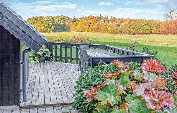 Ferienhaus - Asperup , Dänemark - G51025 102
