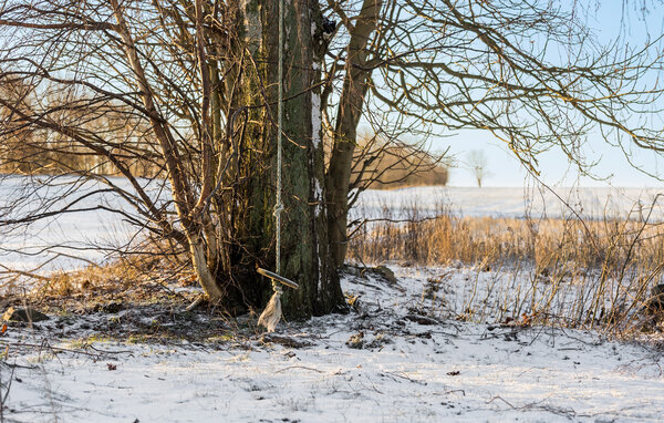 Appartement - Hasmark Strand , Denemarken - G51195 102