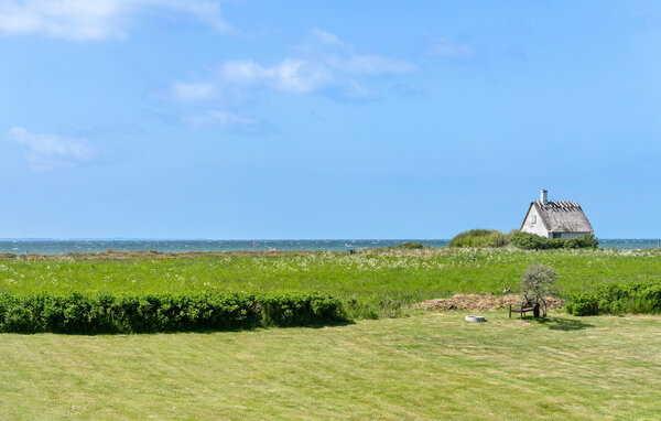 Feriehuse - Langø Strand , Danmark - G51347 202