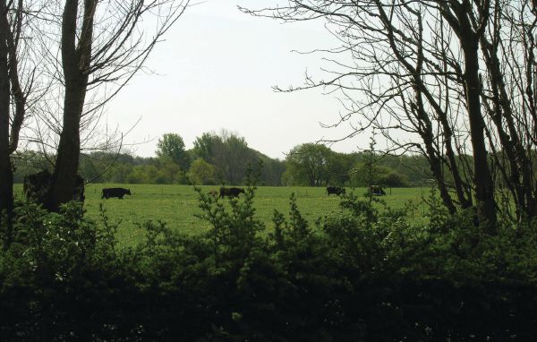 Feriehuse - Bro Strand , Danmark - G51767 901