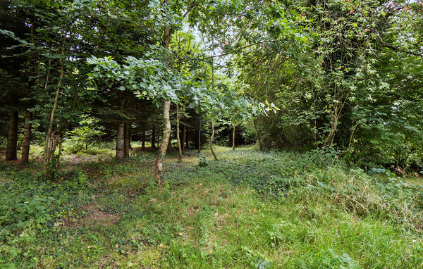 Vakantiehuis - Varbjerg Strand , Denemarken - G51847 106