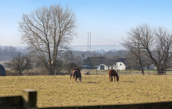 Vakantiehuis - Røjle Klint , Denemarken - G51878 101