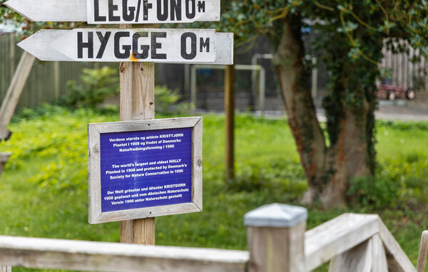 Ferienwohnung - Bogense Strand , Dänemark - G51962 104