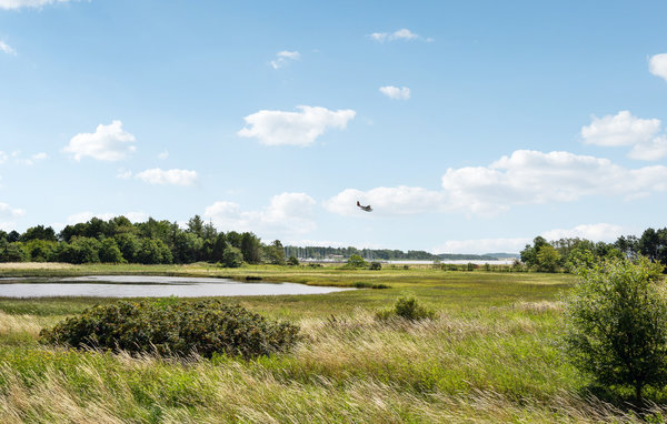Feriehuse - Faldsled , Danmark - G52038 202