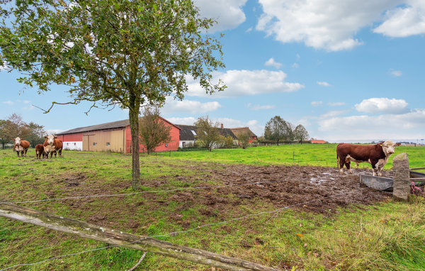 Ferienwohnung - Faaborg , Dänemark - G52072 901