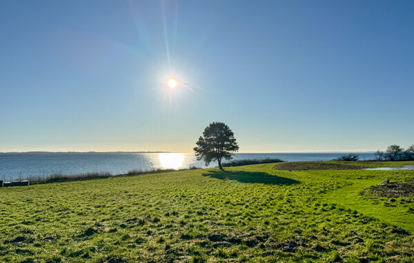 Feriehuse - Horne Sommerland , Danmark - G52093 902