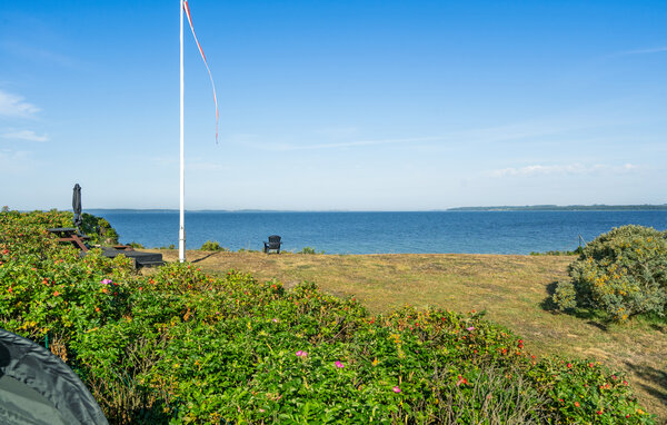 Feriehuse - Faldsled , Danmark - G52102 201