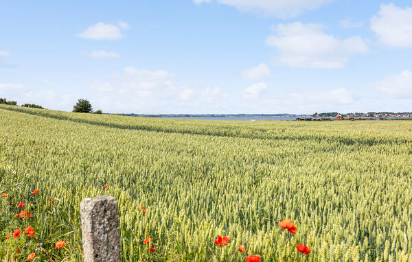 Holiday Home - Bøgebjerglund , Denmark - G52105 201