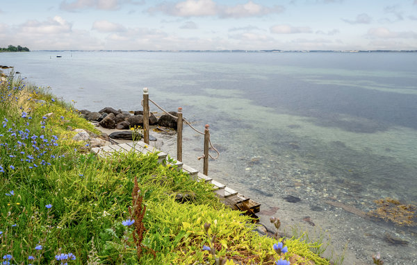 Ferienwohnung - Skårupøre , Dänemark - G53540 901