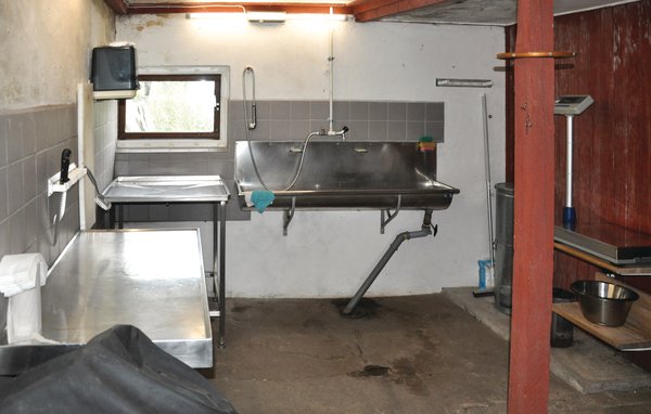 Ferienwohnung - Skårupøre , Dänemark - G53540 501