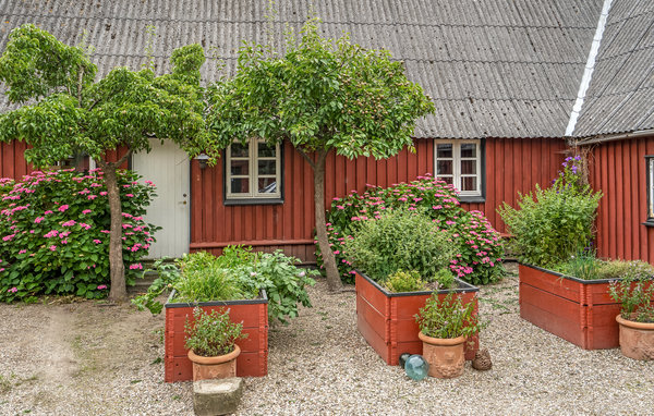 Ferienwohnung - Skårupøre , Dänemark - G53540 108