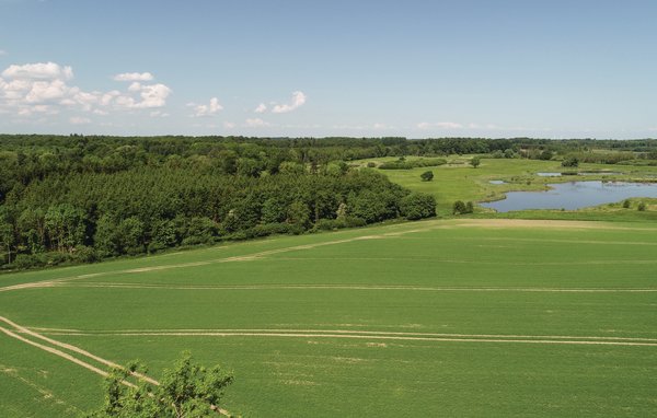 Ferienhaus - Ørbæk , Dänemark - G53542 202