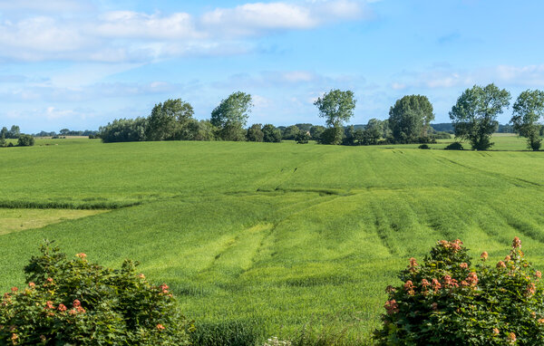 Semesterhus - Nordenhuse , Danmark - G53574 901