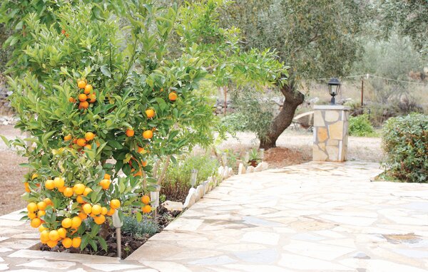 Semesterhus - Kryoneri Astros Peloponnese , Grekland - GPE418 103