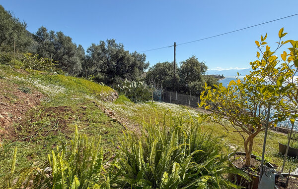 Apartment - Skaloma Nafpaktos , Greece - GST135 9