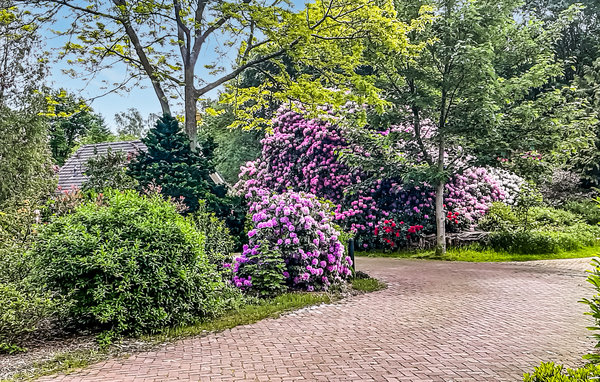 Ferienhaus Bella Nova