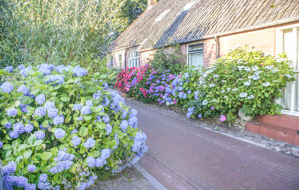 Casa de vacaciones - Diever , Holanda - HDR165 101