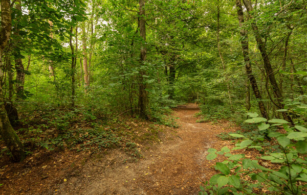 Semesterhus - Erm , Holland - HDR300 910
