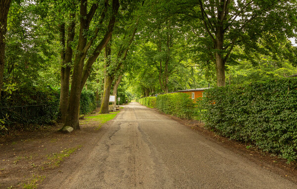 Ferienhaus - Erm , Holland - HDR306 909