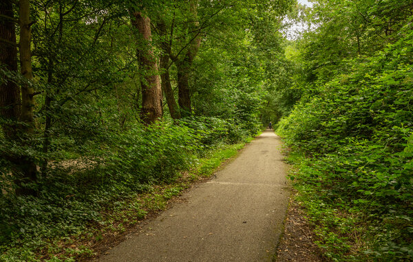 Location de vacances - Erm , Hollande - HDR312 911