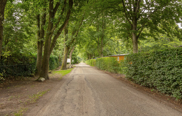 Ferienhaus - Erm , Holland - HDR313 905