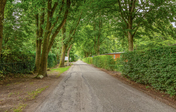 Feriehus - Erm , Nederland - HDR322 907
