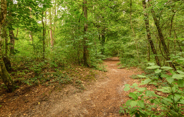 Feriehus - Erm , Nederland - HDR322 908